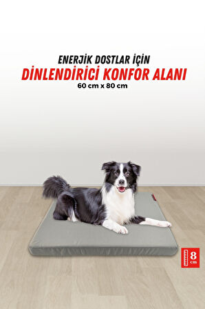 XPERMATE Patiminder Köpek Yatağı Yedek Kılıflı Büyük Irk Köpek Yatağı Büyük Köpek Yatakları 60x80 cm