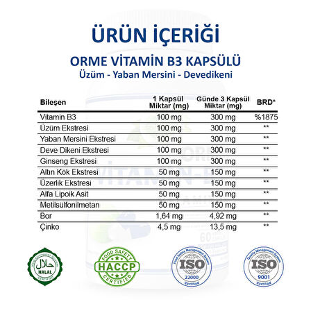 Orme Vitamin B3 Kapsül (VİTAMİN B3 CAPSULE) 60 Adet