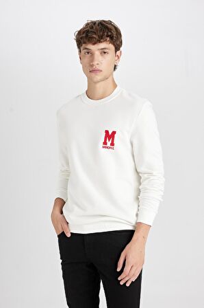 DeFacto New Regular Fit Bisiklet Yaka Baskılı Kalın Sweatshirt D3670AX24AUWT32