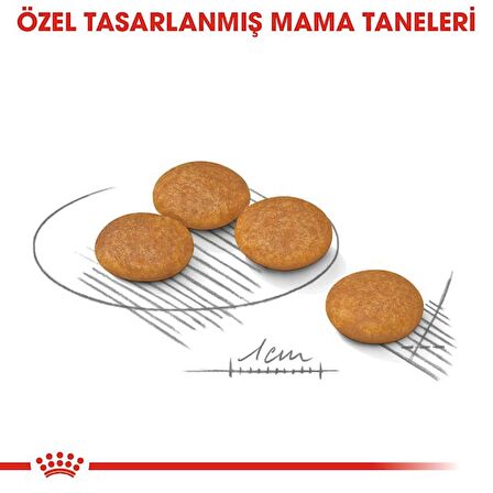 Royal Canin Mini Dermacomfort Kuru Köpek Maması 3kg