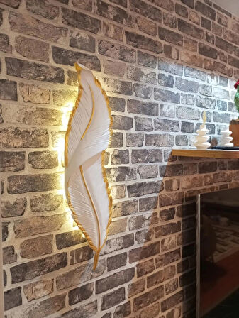 Tüy aplik led'li pilli dekoratif duvar dekoru