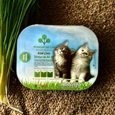 PÜSKÜRTME ÇİM KEDİ ÇİMİ
