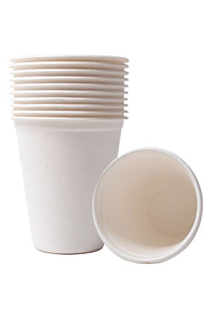 Ekolojik Kare 20 Cm. 96 Kişilik Parti Piknik Sofra Sunum Seti - Tabak Bardak Çatal Kaşık Takımı