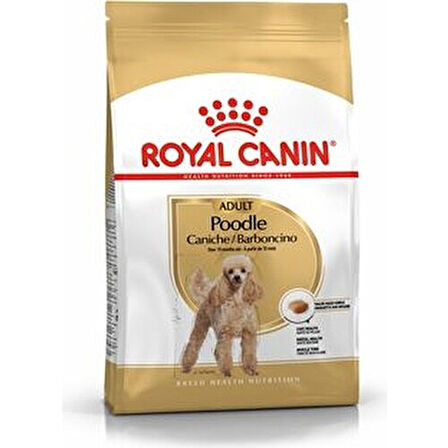 Poodle Puppy Köpek Maması 3 Kg