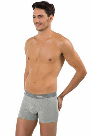 Erkek Gri Tight Boxer 2'li