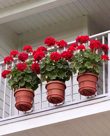 3’lü Büyük Boy Yuvarlak Saksı Askılığı - Balkon Demiri, Panel Çit ve Korkuluklar İçin Geçmeli Saksı Tutucu Askı Aparatı, 20 cm Çap, 10 cm Derinlik, Çelik, Elektrostatik Toz Boyalı