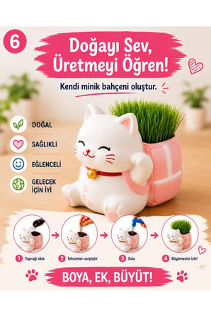 Kedi Çim Kiti – Boya, Ek, Büyüt – Kedini Yetiştir