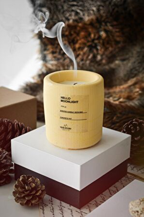 Dekoratif Beton Saksı Içinde Kokulu Vegan Mum