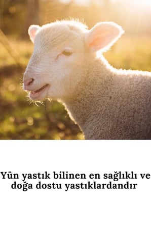ELYAF SEPETİ 1 ADET %100 DOĞAL EL DİKİŞİ 50x70 ORGANİK YÜN YASTIK