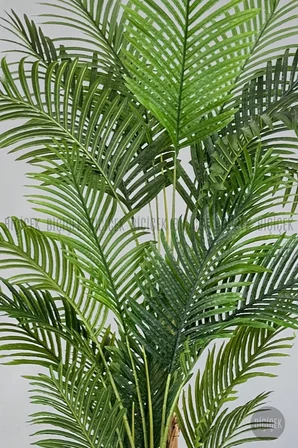 Areka Palmiyesi 220cm metal siyah gümüş saksıda