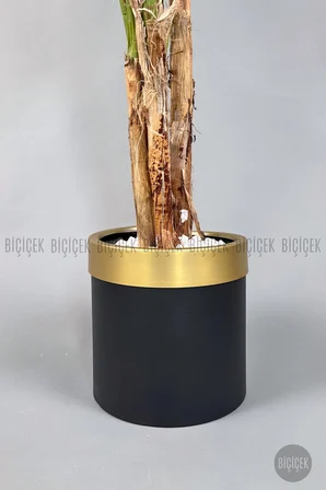 Areka Palmiyesi 220cm metal siyah gold saksıda