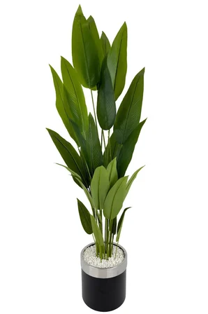 Starliçe 220cm metal siyah gümüş saksıda