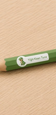 Pastel Renklerle Kişiye Özel Okul Etiketi Seti Dinazor Tasarımlı 252 Adet - Mat Renkli İsim Etiketi (Kalem, Suluk, Defter)