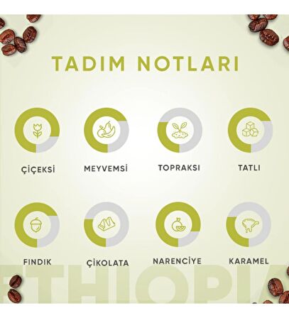 Etiyopya Single Origin 250 Gram 4'lü Avantaj Paketi Filtre Kahve