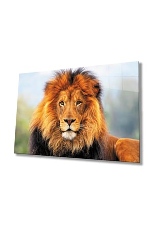 Aslan Hayvan Cam Tablo 4mm Dayanıklı Temperli Cam