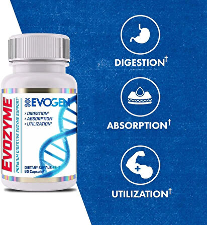 Evogen Evozyme Digestive Enzymes Enzymes Digestion Absorption Nutrient Utilization Support 60 Caps
