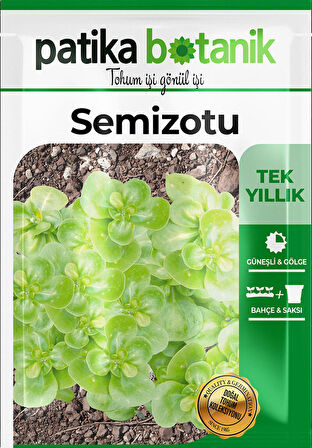 4.000 Adet Yerli Ata Semizotu Tohumu
