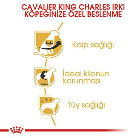Royal Canin Cavalier King Charles Kuru Köpek Maması 3kg