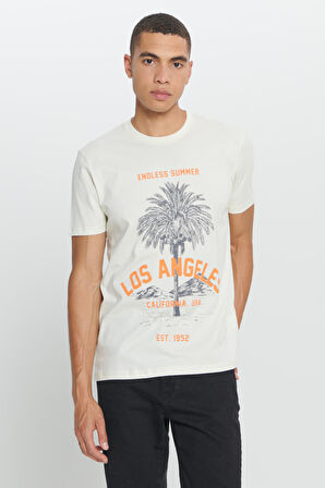 Standart Fit Normal Kesim %100 Pamuk Bisiklet Yaka Tişört