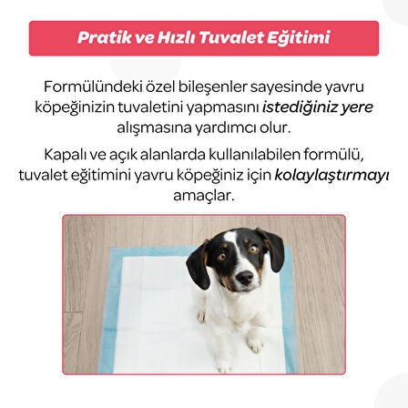 Vet's Plus Yavru Köpek Tuvalet Eğitim Spreyi 100ml