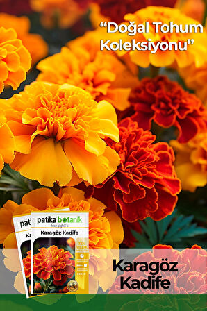 50 Adet Karagöz (Tagetes L.) Çiçek Tohumu 
