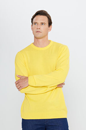 Erkek Sarı Standart Fit Normal Kesim Bisiklet Yaka Triko