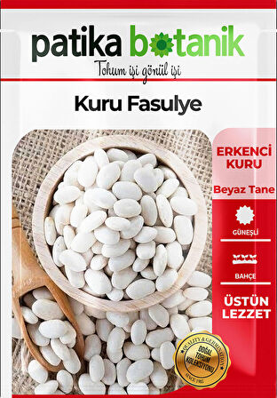 50 Adet Kuru Fasulye Tohumu