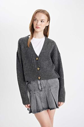 DeFacto Regular Fit V Yaka Triko Hırka R1389AZ24WNAR227
