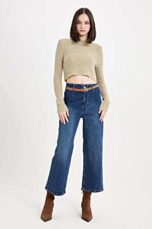 DeFacto Regular Fit Crop Bisiklet Yaka Örgü Delikli Triko Kazak C6321AX24WNGN270