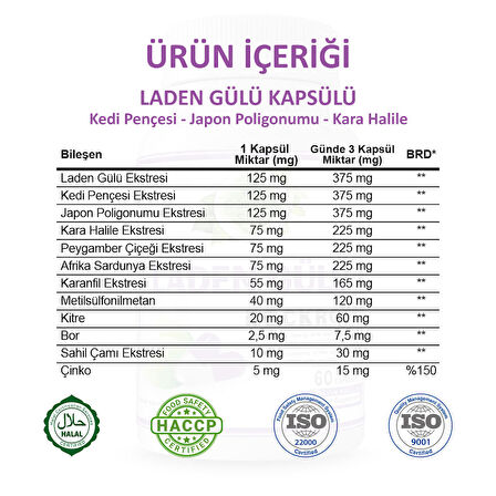 Laden Gülü Kapsül (Rock Rose Capsule) 60Adet