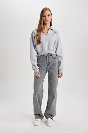 DeFacto Regular Fit Polo Yaka Basic Düz Kalın Sweatshirt C4583AX24SMGR256