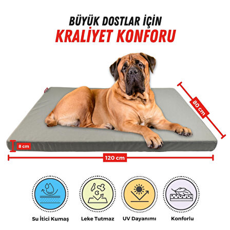 XPERMATE Patiminder Köpek Yatağı  Büyük Irk Köpek Yatağı Büyük Köpek Yatakları 80x120 cm