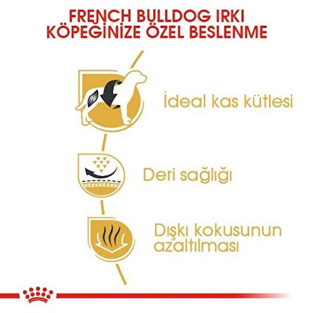 Royal Canin Fransız Bulldog Yetişkin Kuru Köpek Maması 3kg