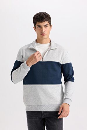 DeFacto Comfort Regular Fit Rahat Kalıp Dik Yaka Fermuarlı Çizgili Kalın Sweatshirt D2401AX24AUGR389
