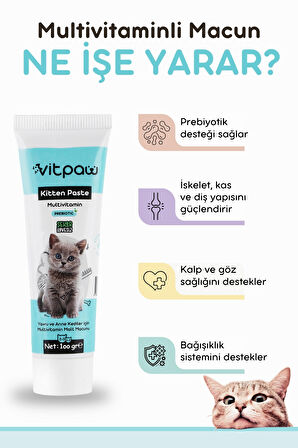 Vitpaw Kitten Paste 100 Gr. (YAVRU VE ANNE KEDİLER İÇİN MULTİVİTAMİN MACUN)