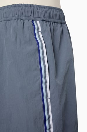 Gri Stripe Detail Çizgili Erkek Deniz Şortu