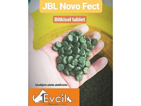 JBL Novo Fect Bitkisel Tablet Yem Kovadan Bölme 500 Adet
