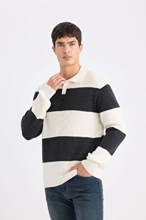 DeFacto Standart Fit Polo Yaka Çizgili Triko Kazak D3590AX24WNER139