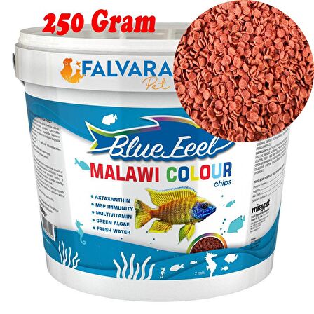 250 Gram Blue Feel Malawi Colour Chips (2 mm) Balık Yemi Kovadan Bölme