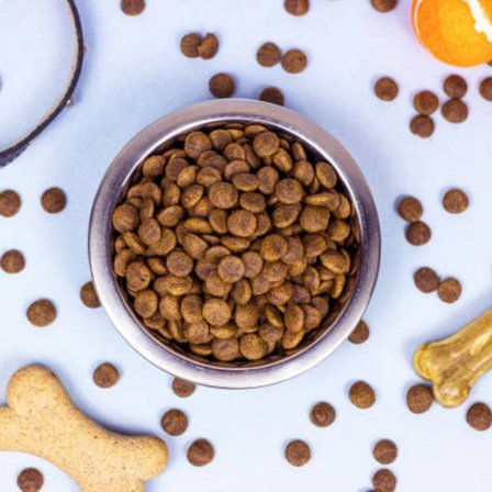 Felicia Az Tahıllı 2 Kg Açık Kitten Yavru Tavuklu Hypoallergenic Kedi Maması