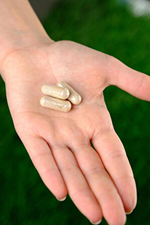 JAMED BEAUTY MENOEASE BALANCE 30 KAPSÜL