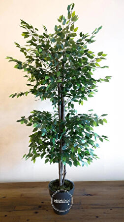 Yapay Ficus Benjamin Ağacı 170 cm