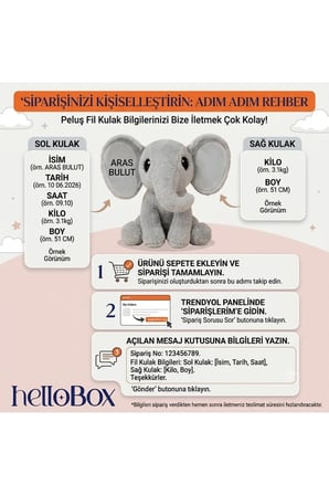 Kişiye Özel İsimli Fil Peluş Oyuncak - Bebeğe Anneye Hediye Kişiselleştirilebilir Fil - Uyku Arkadaşı - Tarihli İsimli Doğum Hediyesi - Baby Shower - Doğum Günü - İlk Yaş Hediyesi