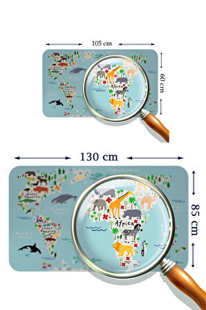 Eğitici Dünya Haritası Dünya Atlası Çocuk ve Bebek Odası Kaliteli Duvar Sticker-3771