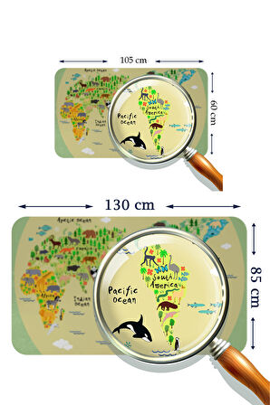 Eğitici Dünya Haritası Dünya Atlası Çocuk ve Bebek Odası Kaliteli Duvar Sticker-3773