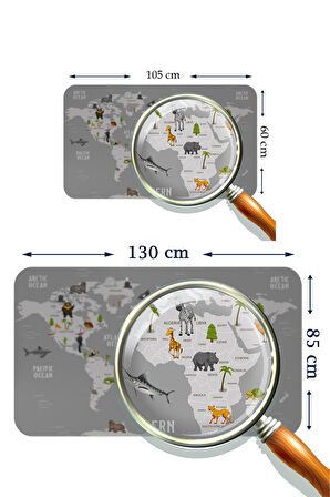 Eğitici Dünya Haritası Dünya Atlası Çocuk ve Bebek Odası Kaliteli Duvar Sticker-3794