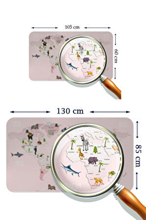 Eğitici Dünya Haritası Dünya Atlası Çocuk ve Bebek Odası Kaliteli Duvar Sticker-3795