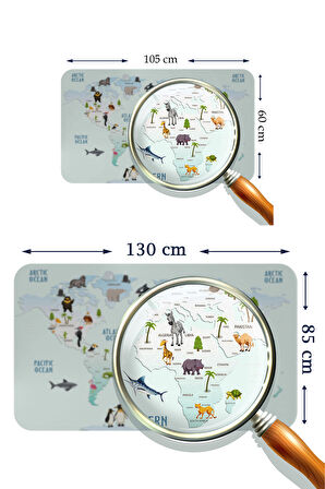 Eğitici Dünya Haritası Dünya Atlası Çocuk ve Bebek Odası Kaliteli Duvar Sticker 3796