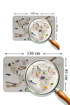 Eğitici Dünya Haritası Dünya Atlası Çocuk ve Bebek Odası Kaliteli Duvar Sticker-3997