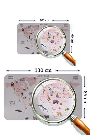 Eğitici Dünya Haritası Dünya Atlası Çocuk ve Bebek Odası Kaliteli Duvar Sticker-3798
